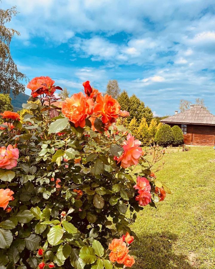 Etno Selo Vranesa Zlatar Hotel Nova Varos Exterior photo
